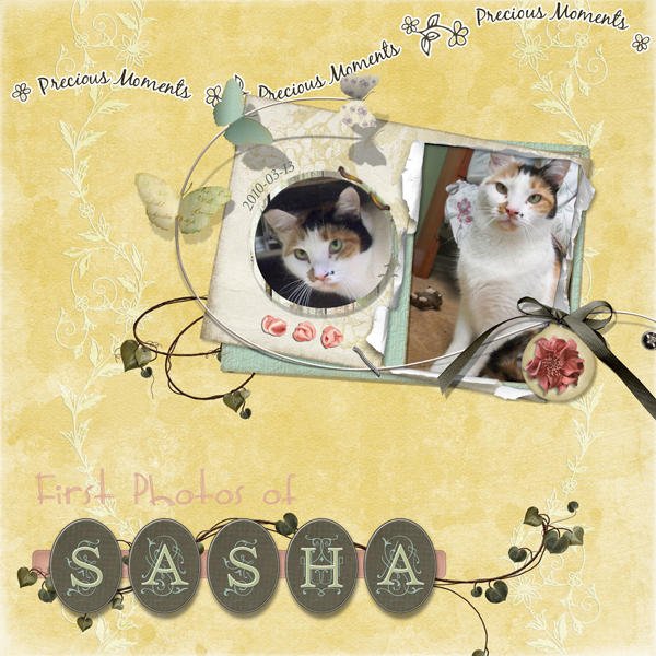 20100313_Sasha_FirstPicsLayout