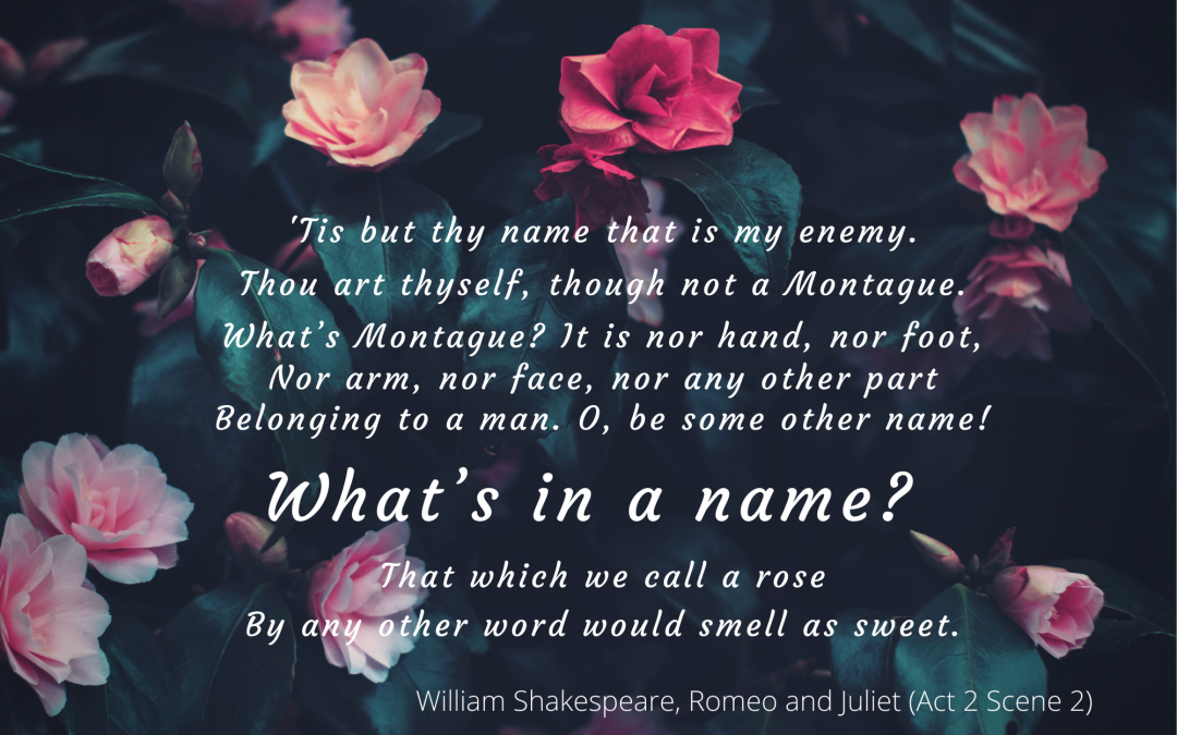 What’s in a name?