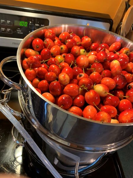 crabapples 4
