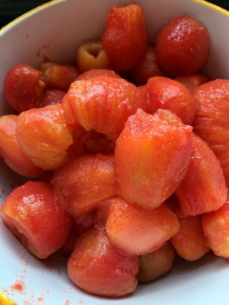 salsa tomato