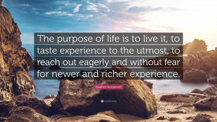 Eleanor Roosevelt quote- the purpose of life is to live it